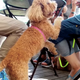 Image for article titled These Photos Were Taken By A Dog